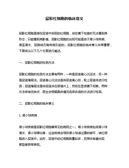 尿影红细胞的临床意义