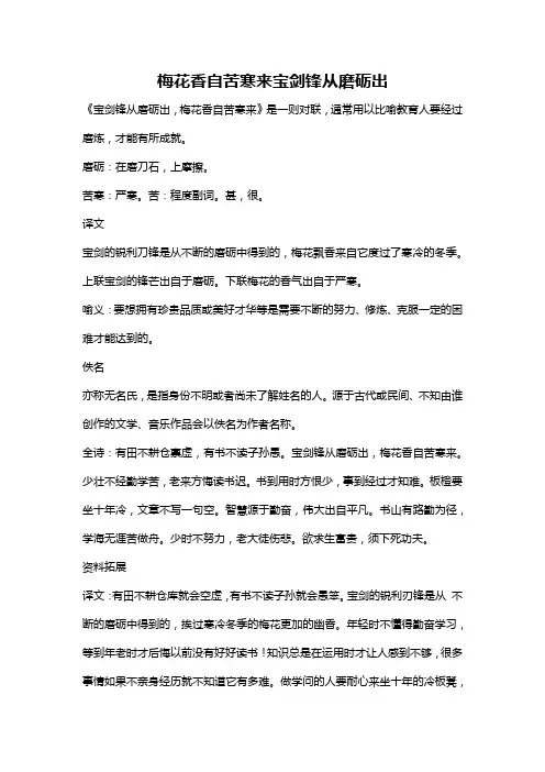 梅花香自苦寒来宝剑锋从磨砺出
