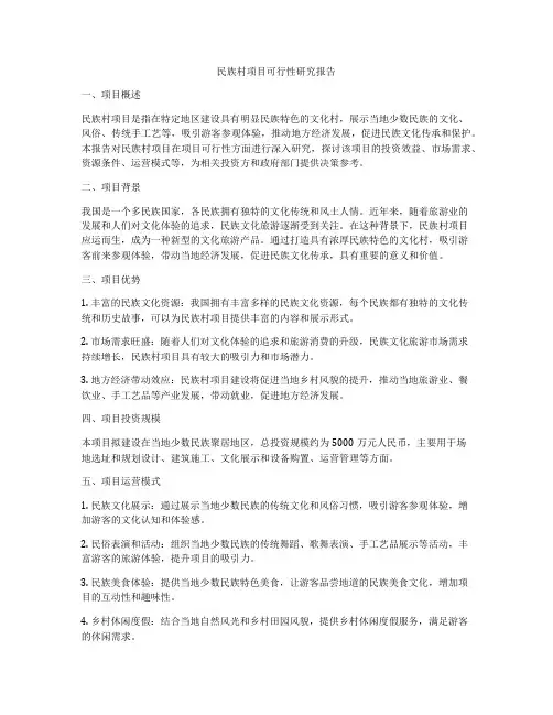 民族村项目可行性研究报告