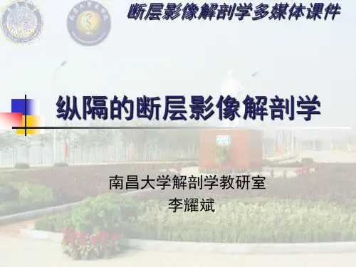 04纵隔的断层影像解剖学2