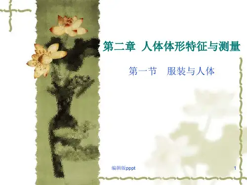 第二章 人体体形特征与测量ppt课件