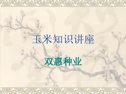 玉米育种相关知识