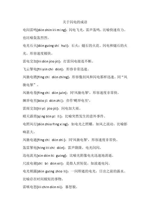 关于闪电的成语
