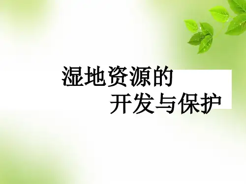 高中地理专题复习之湿地资源的 PPT