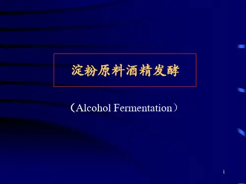 酒精发酵工艺过程