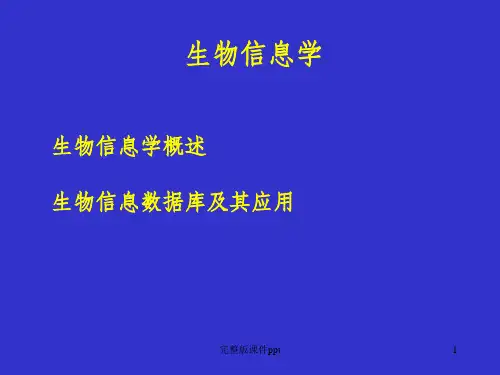 《生物信息学》PPT课件