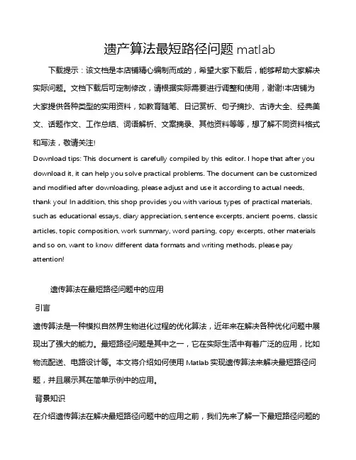 遗产算法最短路径问题matlab