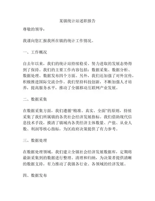 某镇统计站述职报告