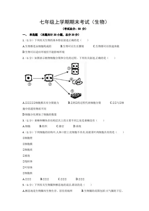 七年级上学期期末考试(生物)试题含答案