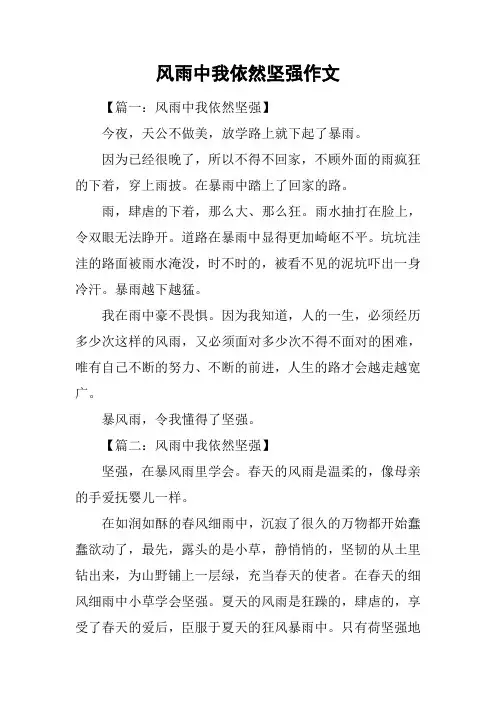 风雨中我依然坚强作文