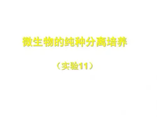 (201907)高二生物微生物的分离和纯培养