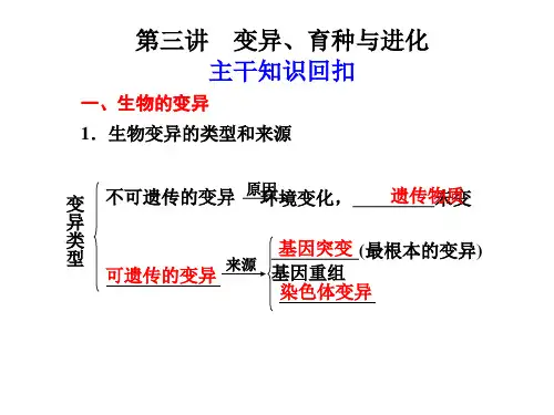 高中生物变异、育种与进化ppt课件