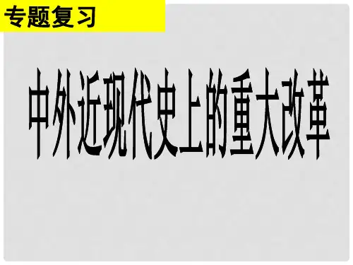 中考历史 中外近现代的重大改革复习课件 新人教版