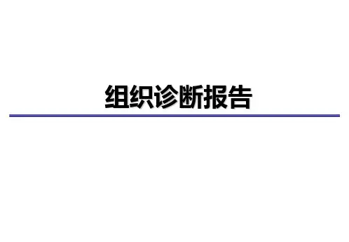 13 组织诊断报告