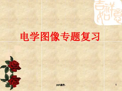 初中物理电学图像专题复习ppt课件