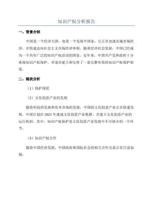 知识产权分析报告