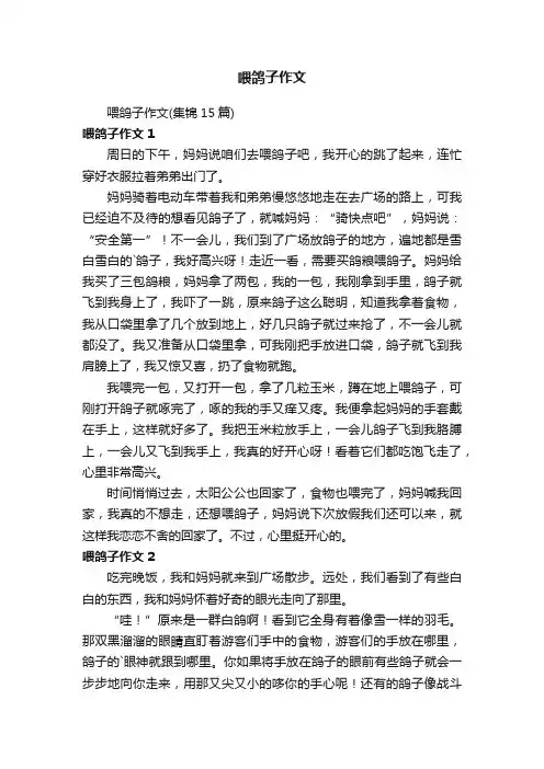 喂鸽子作文（集锦15篇）