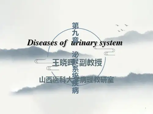 病理学课件-肾小球肾炎