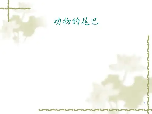 小班科学动物的尾巴ppt课件