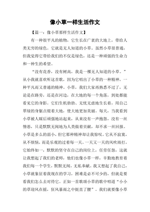 像小草一样生活作文