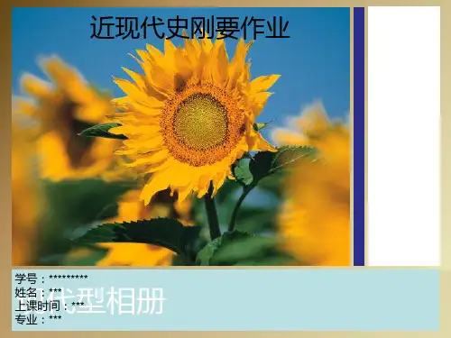 PPT讲义(曾国藩)