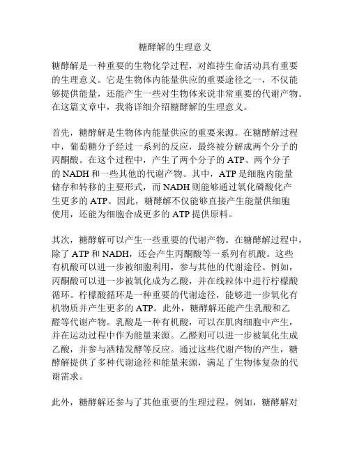 糖酵解的生理意义