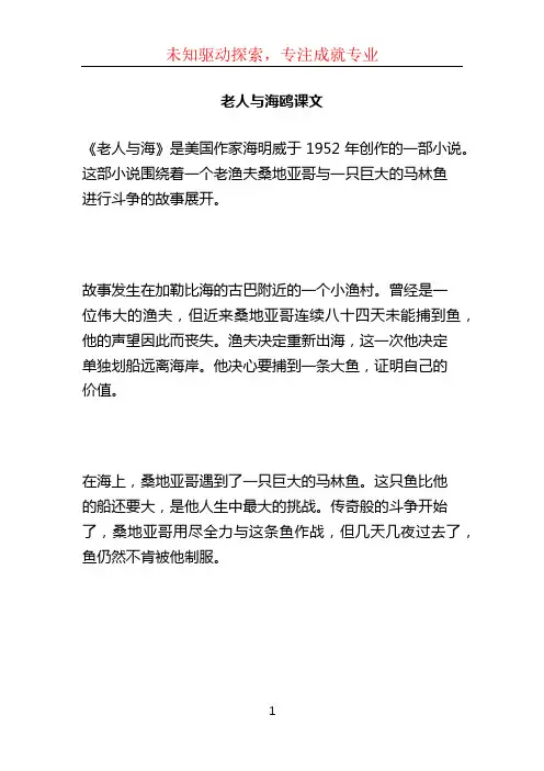 老人与海鸥课文