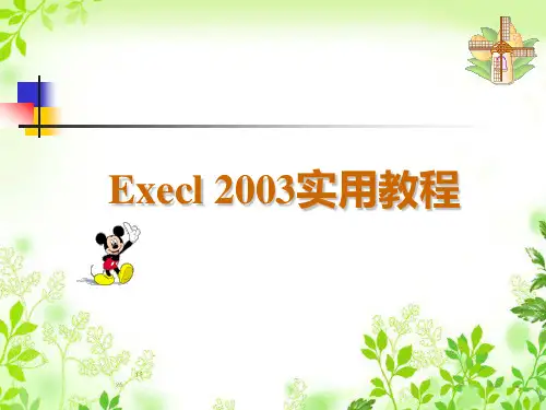 Excel2003基础教程大全(经典)