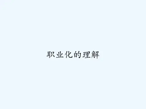 职业化的理解 PPT