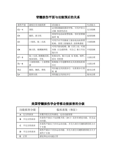 截瘫评定量表