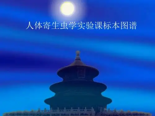 寄生虫图谱课件