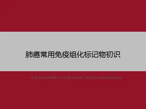 肺癌常用免疫组化标记物初识