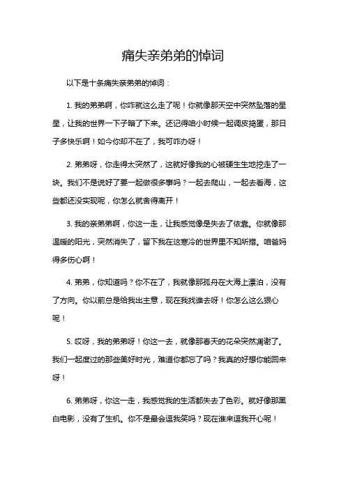 痛失亲弟弟的悼词