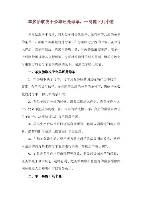 羊多胎取决于公羊还是母羊,一窝能下几个崽