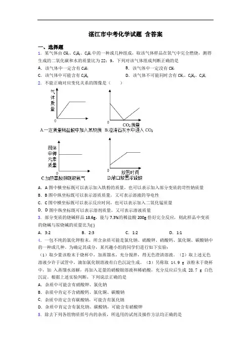 湛江市中考化学试题 含答案