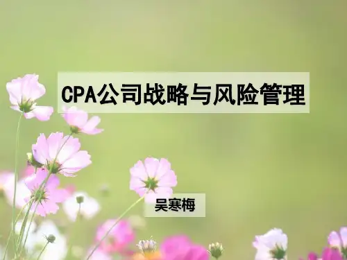 第一章 战略与战略管理(CPA公司战略与风险管理)