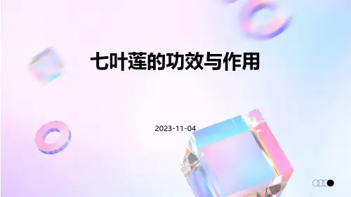 七叶莲的功效与作用