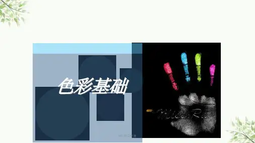 色彩对比训练最新课件