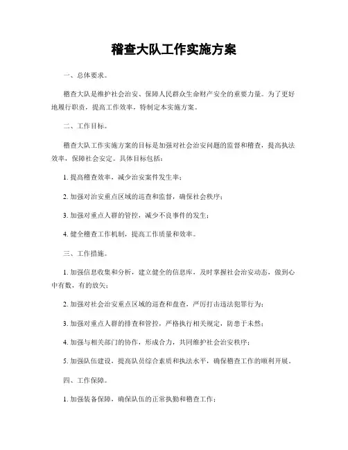 稽查大队工作实施方案