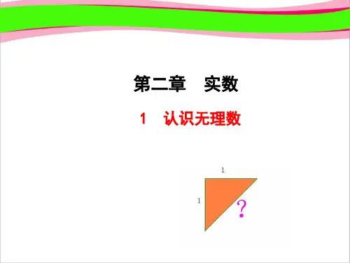 认识无理数(优质课)获奖课件