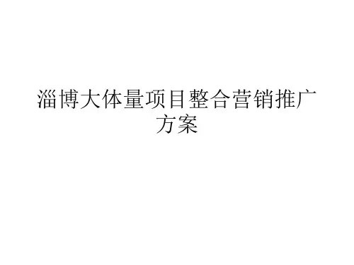 淄博大体量项目整合营销推广方案
