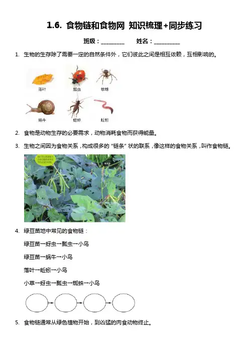 五年级科学下册1-6《食物链和食物网》知识梳理 同步练习(含答案)
