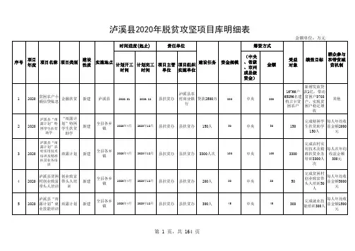 泸溪2020年脱贫攻坚项目库明细表