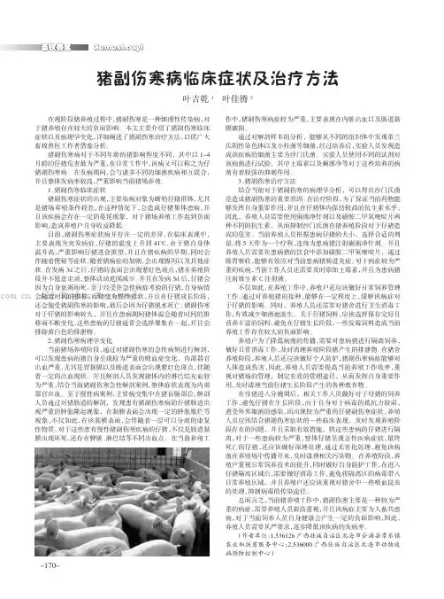 猪副伤寒病临床症状及治疗方法