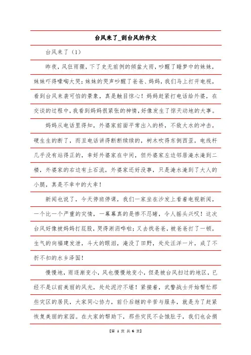 台风来了_刮台风的作文