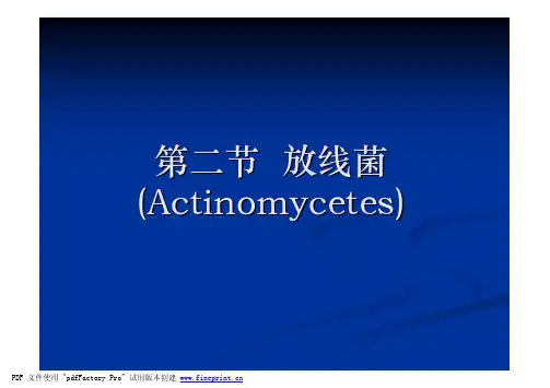 微生物课件(周德庆)第一章Part 4 放线菌和三体