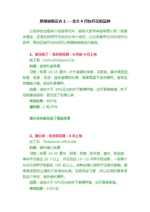 景观宿根花卉2----北方4月份开花的品种