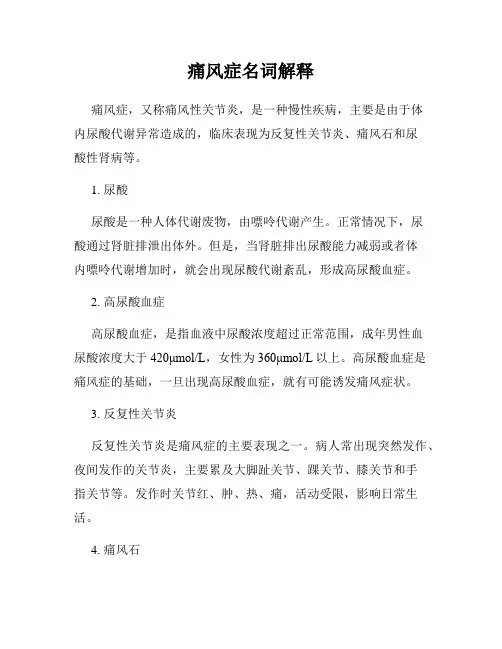 痛风症名词解释