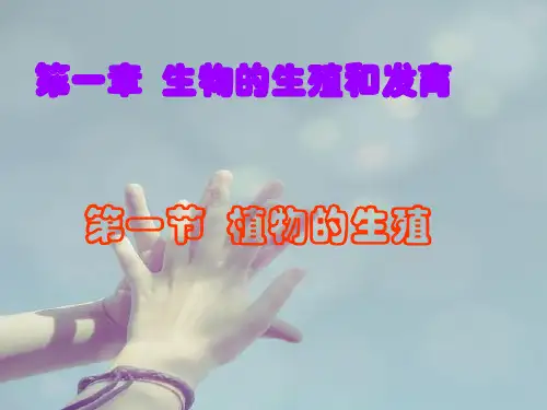 八年级生物下册-植物的生殖..