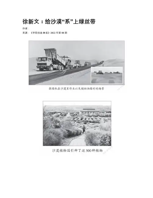 徐新文：给沙漠“系”上绿丝带
